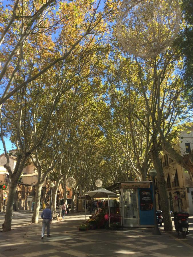 Cream Homes La Rambla, Turismo De Interior 帕爾馬 外观 照片