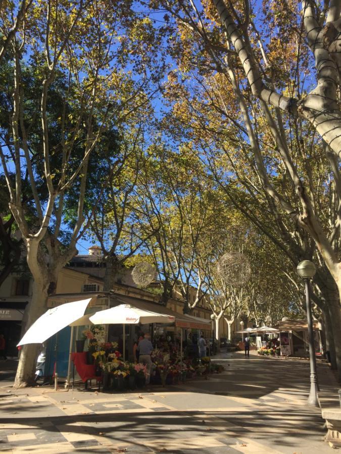 Cream Homes La Rambla, Turismo De Interior 帕爾馬 外观 照片